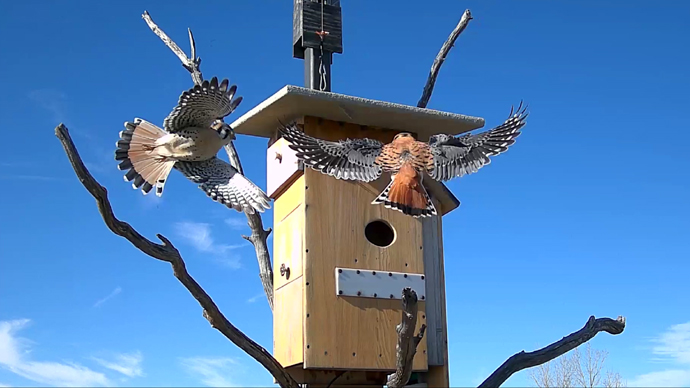 web 2 MK's Sequence 01.Still105 web 2 MK's Sequence 01.Still105