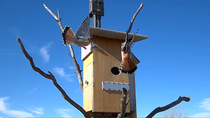 web 2 MK's Sequence 01.Still106 web 2 MK's Sequence 01.Still106