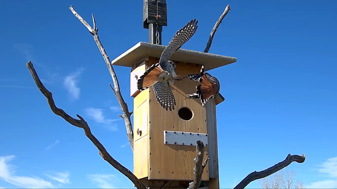 web 2 MK's Sequence 01.Still107 web 2 MK's Sequence 01.Still107