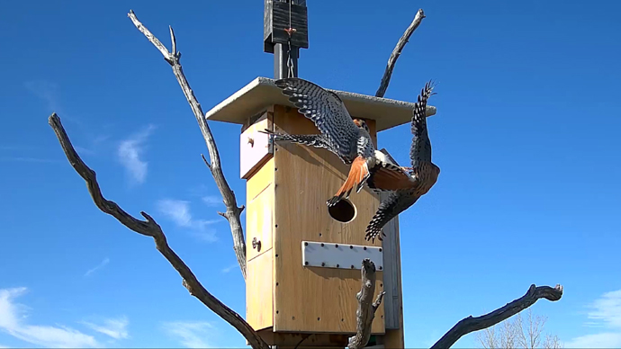 web 2 MK's Sequence 01.Still108 web 2 MK's Sequence 01.Still108