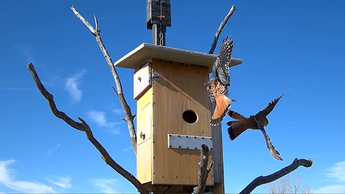 web 2 MK's Sequence 01.Still109 web 2 MK's Sequence 01.Still109