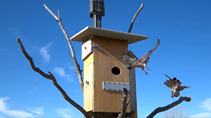 web 2 MK's Sequence 01.Still110 web 2 MK's Sequence 01.Still110