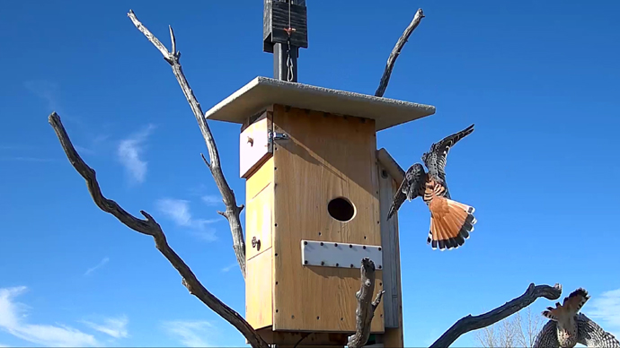 web 2 MK's Sequence 01.Still111 web 2 MK's Sequence 01.Still111