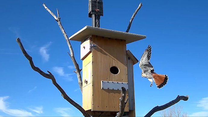 web 2 MK's Sequence 01.Still113 web 2 MK's Sequence 01.Still113